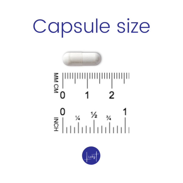 Coq10 Capsule Size