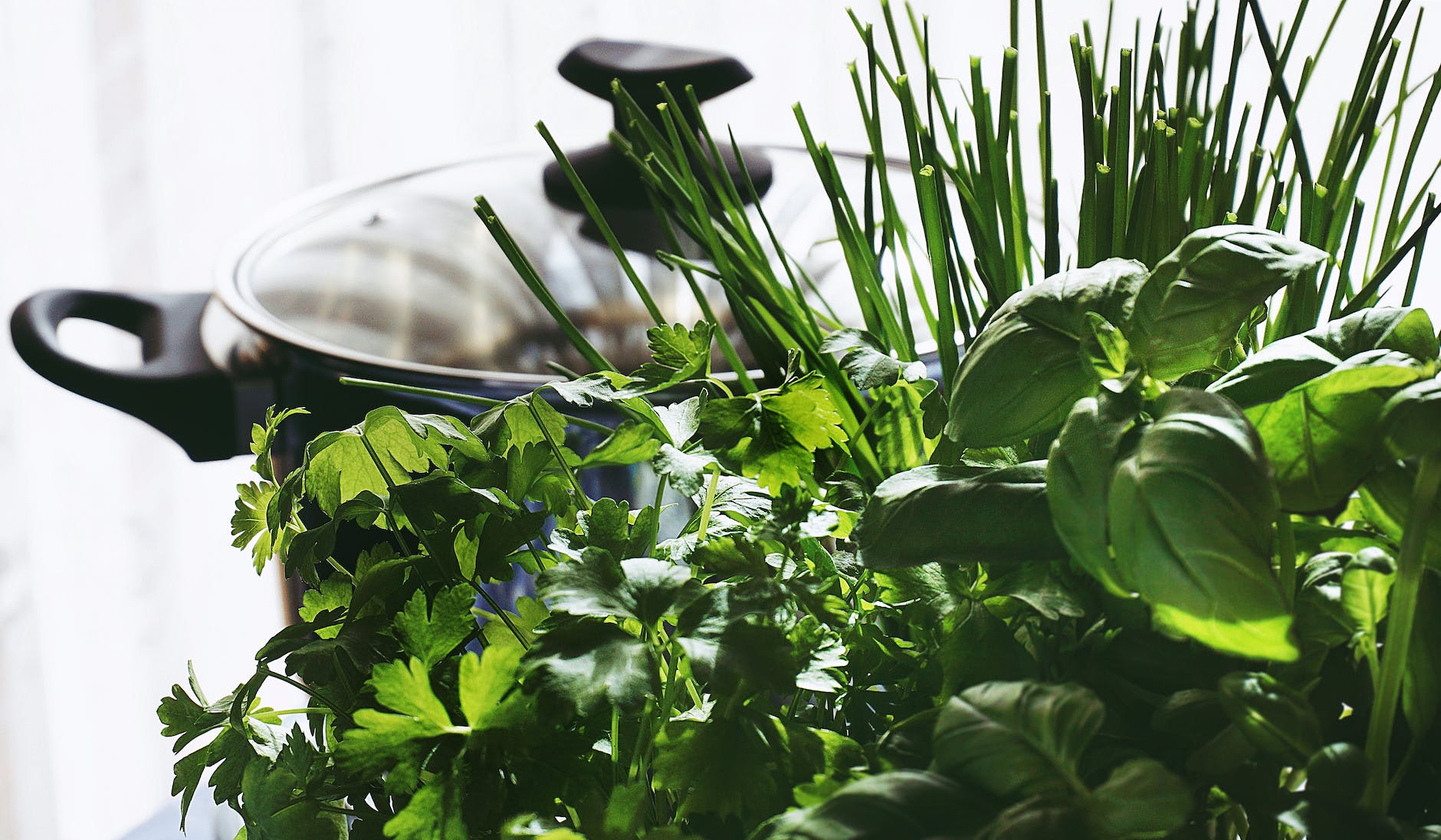 close up photo of herbs near pot