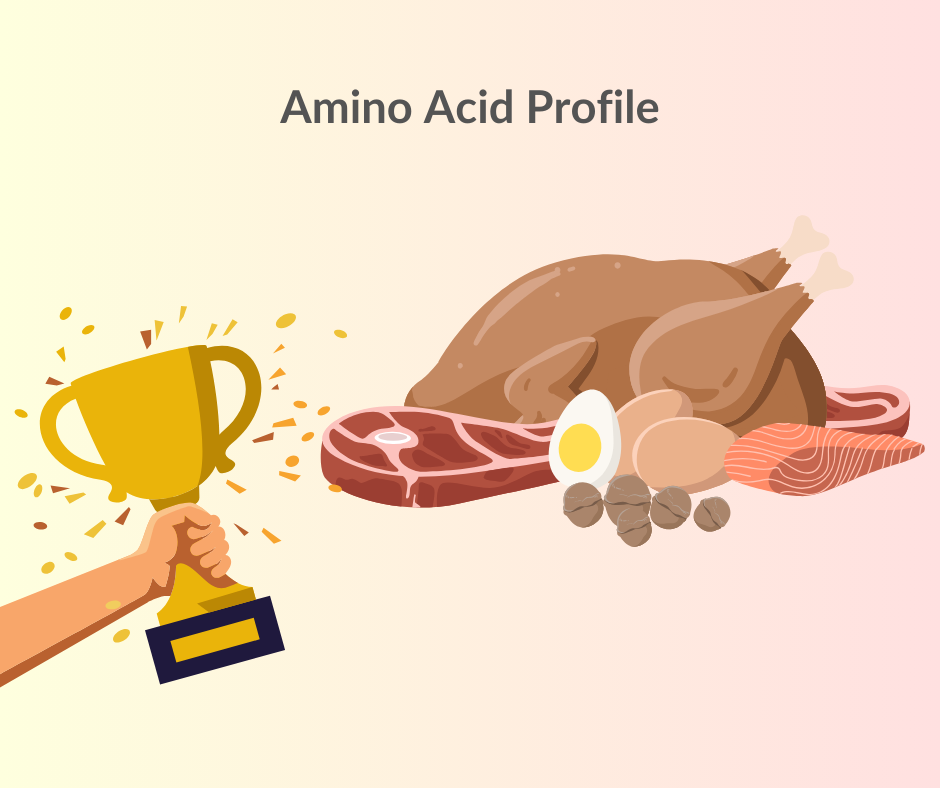 Animal protein has better amino acid profile compared to plant 