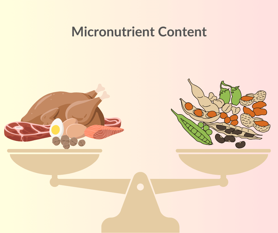 Both plant and animal protein have good micronutrient content