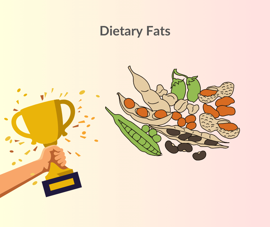 Plant protein have more healthy fats compared to animal protein 