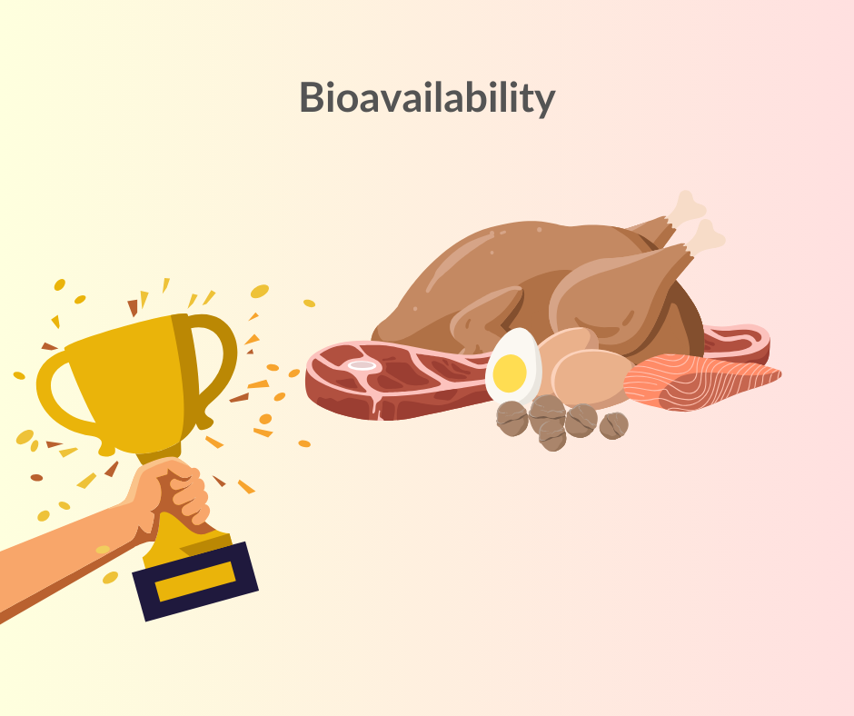 Animal protein has better bioavailability compared to plant  protein