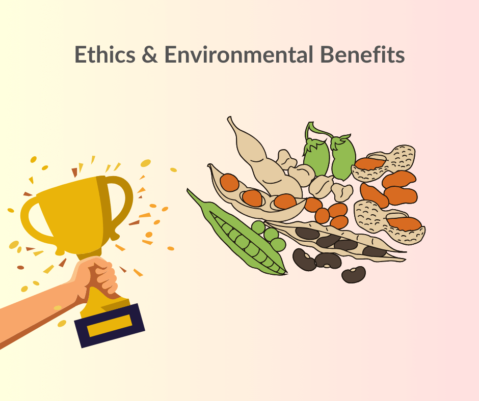 Plant proteins are more favorable to the environment and animal welfare compared to animal protein. 