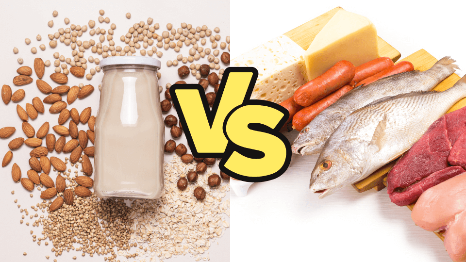 Animal Protein Vs. Plant Protein: Which Is Better?