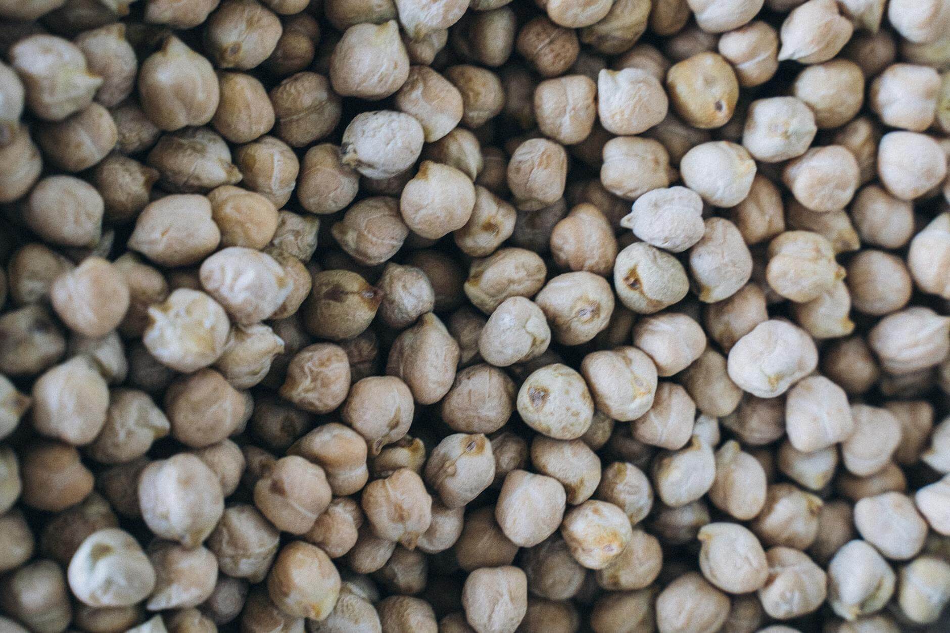 close up shot of chickpeas