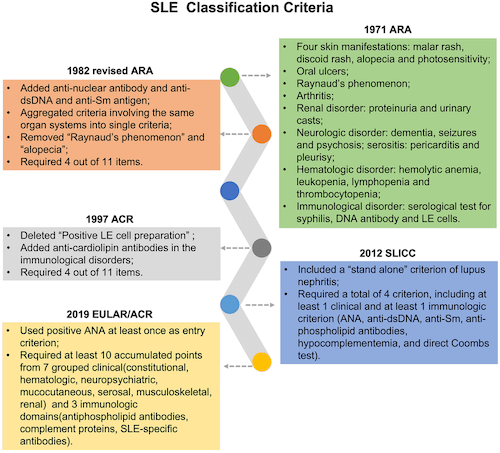 Infographic showing a detailed explanation of criteria that doctors use to classify the types of lupus